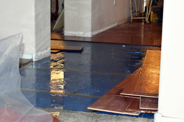 Professional Basement Flood Cleanup technician working in Pacific Junction, IA